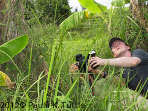 bat photography by merlin and daniel