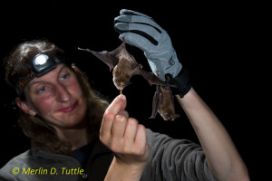 Bat Research Bulgaria, June 13 to July 4, 2014