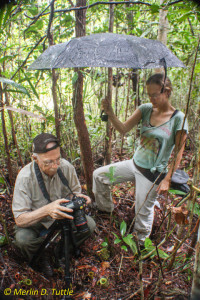 Caroline Schoner protecting Merlin's camera from rain, while photographing pitcher plants Photo taken by Michael Schoner