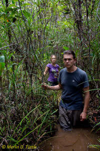 Michael and Caroline Schöner wading through a peat swamp, searching for bats roosting in pitcher plants