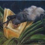 "The Pollinator" by Rhea Groepper Pettit