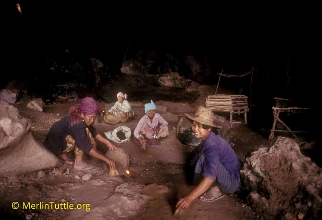 Some of these guano miners photographed lived in excellent health well into their eighties and nineties despite spending huge amounts of time with the bats in Rakang Cave in Thailand.