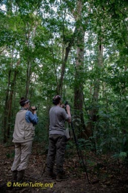 Teresa Nichta video taping Daniel Hargreaves as he prepares for a night of filming Spectral bats in Trinidad.
