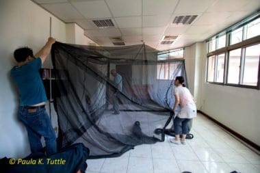 Setting up our bat photo studio at the Endemic Species Research Institute in Taiwan