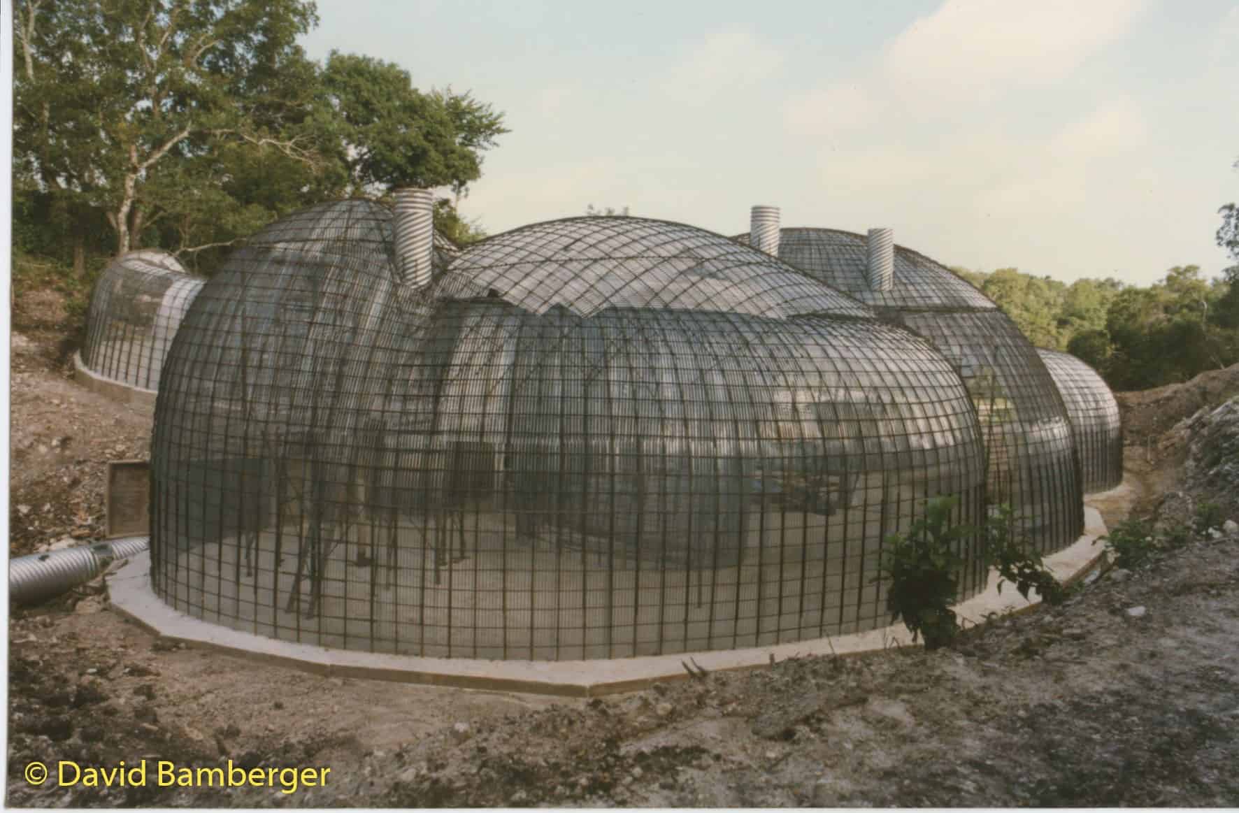 World’s First Artificial Bat Cave Merlin Tuttle's Bat Conservation