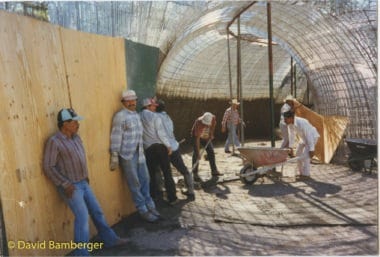construction crew at artificial bat cave