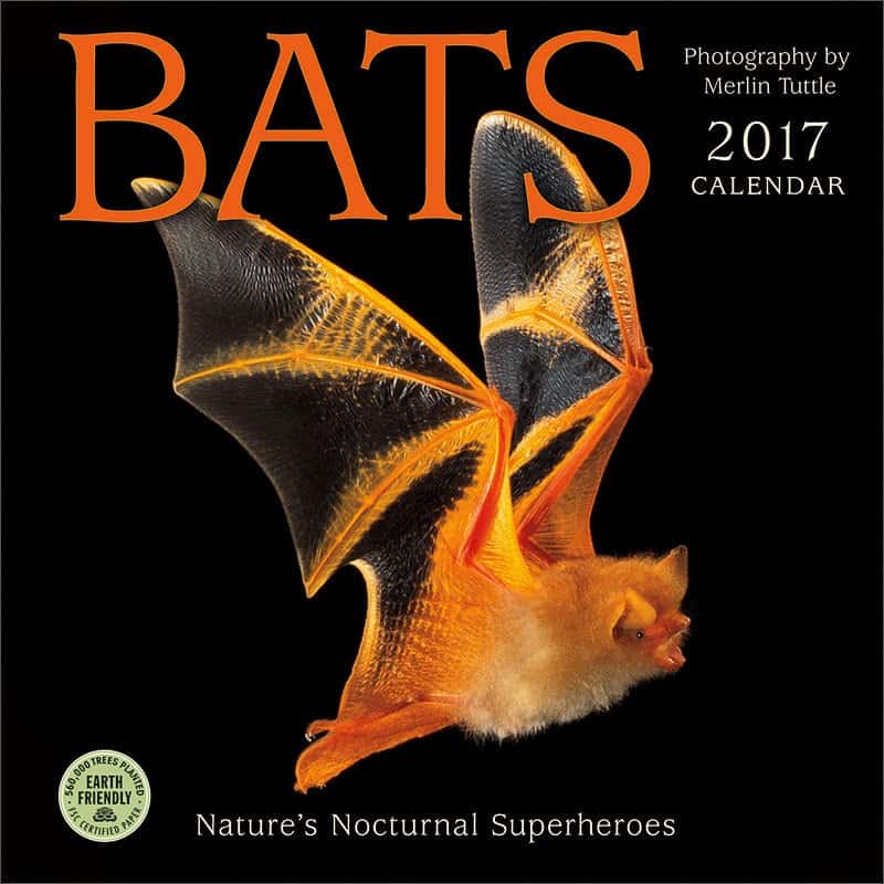 2017 Bat Calendar Merlin Tuttle's Bat Conservation