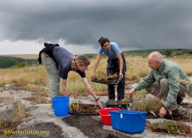 Merlin, Toni Hubancheva, and Dani Schmieder (far left) collecting more than 100 pounds of material to build a photo set in Bulgaria. Toni had studied local bat feeding behavior.