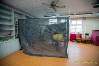 merlin at taiwan school room