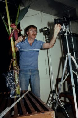 Merlin Tuttle preparing to photograph a tamed greater short-nosed fruit bat (Cynopterus sphinx) in 1981 in one of his first primitive studio sets in Thailand.