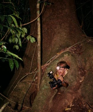 Marlin Tuttle emerging from photographing bats roosting in a hollow tree in Panama in 1981.