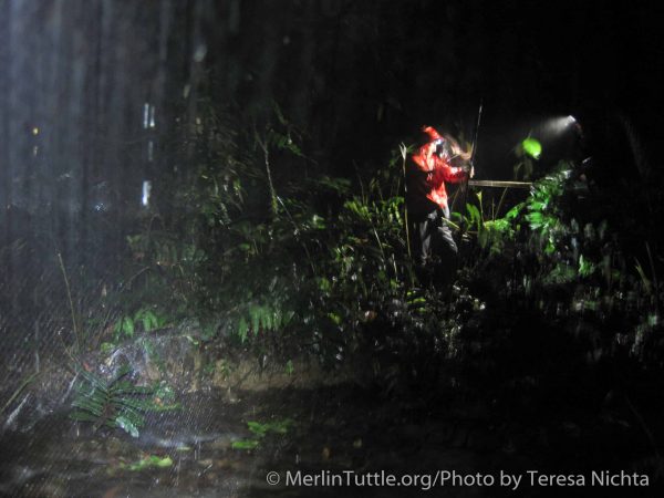 Monica and Carlos in the rain by the creek.