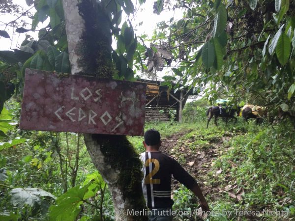 Los Cedros sign