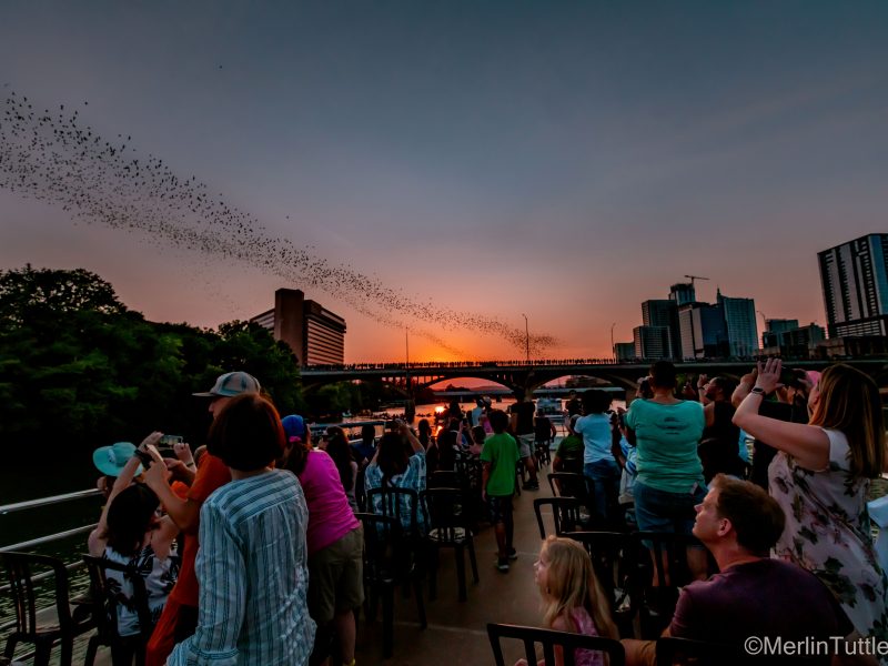 US_4_DSC03534-300-sky US_4_DSC03534-300-sky